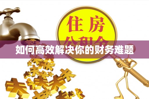 八里如何高效解决你的财务难题