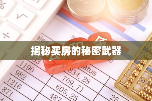 八里揭秘买房的秘密武器