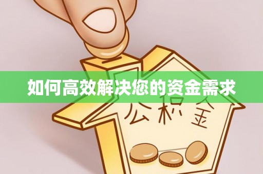 八里如何高效解决您的资金需求